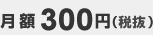 月額300円（税抜）